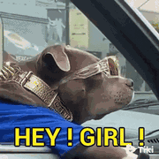 Happy hey girl reaction GIF sample